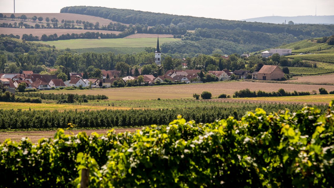Flonheimer Binger Berg Flonheimer Binger Berg