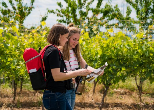Picknick-Rucksack © Weingut Dorst GbR Picknick-Rucksack © Weingut Dorst GbR