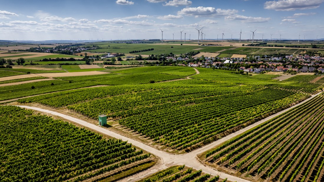 Bechtolsheimer Klosterberg, © Torsten Silz Bechtolsheimer Klosterberg, © Torsten Silz