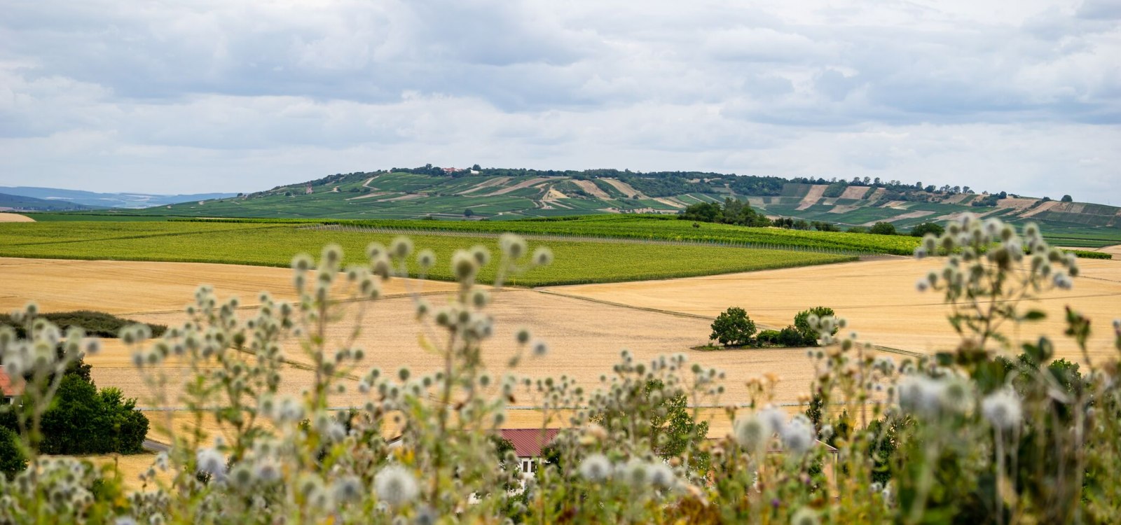 landschaft landschaft