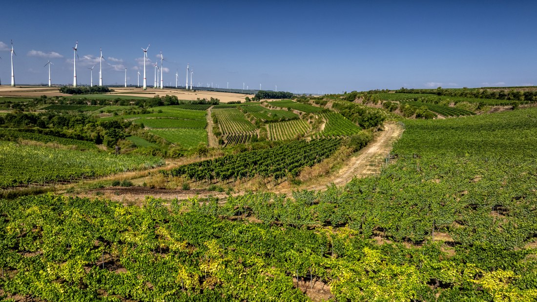 Alsheimer Römerberg, © Torsten Silz Alsheimer Römerberg, © Torsten Silz