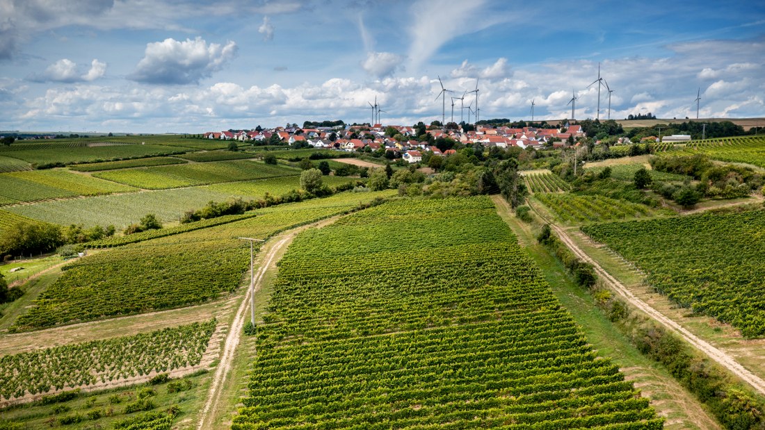 Hangen-Weisheimer Sommerwende Hangen-Weisheimer Sommerwende