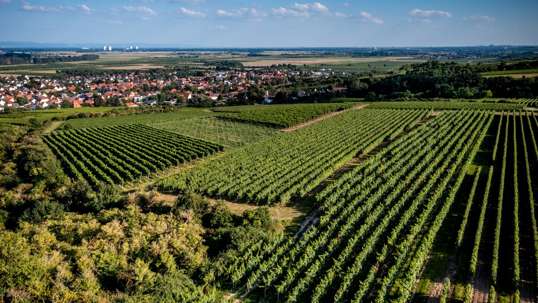 Alsheimer Frühmesse Alsheimer Frühmesse