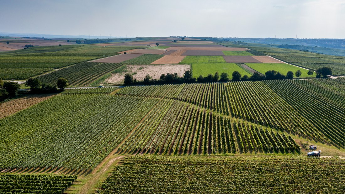 Saulheimer Hölle Saulheimer Hölle