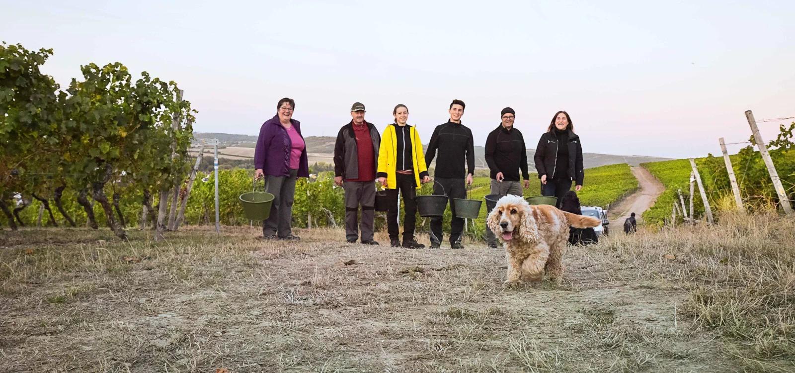 Weingut Eppelmann, © Weingut Eppelmann Weingut Eppelmann, © Weingut Eppelmann