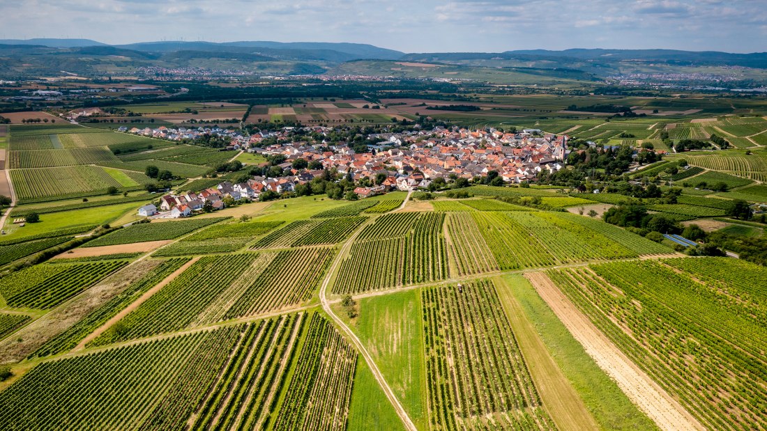 Dromersheimer Klosterweg Dromersheimer Klosterweg
