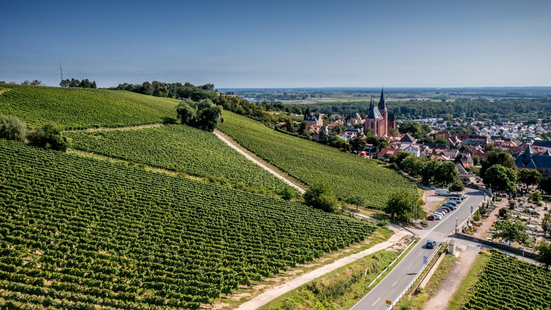 Oppenheimer Kreuz Oppenheimer Kreuz