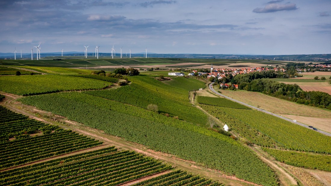 Uffhofener La Roche Uffhofener La Roche