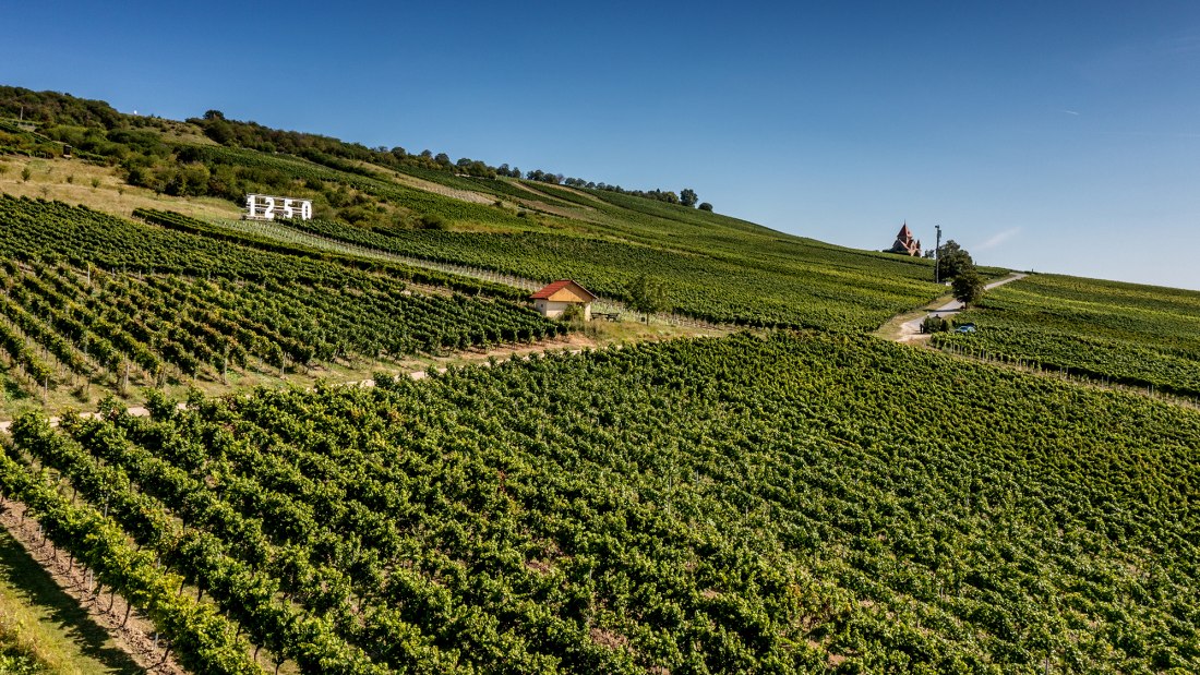 Gau-Bickelheimer Kapelle Gau-Bickelheimer Kapelle