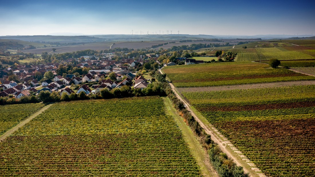 Biebelnheimer Pilgerstein Biebelnheimer Pilgerstein