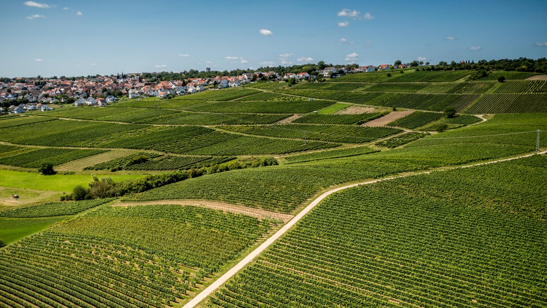 Essenheimer Teufelspfad Essenheimer Teufelspfad