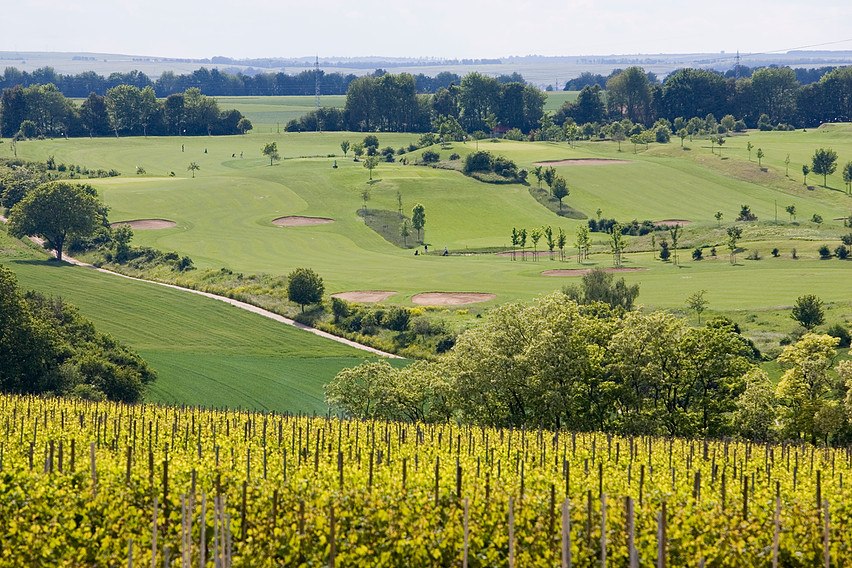 Weingut Becker_Golfplatz, © Weingut Becker Weingut Becker_Golfplatz, © Weingut Becker