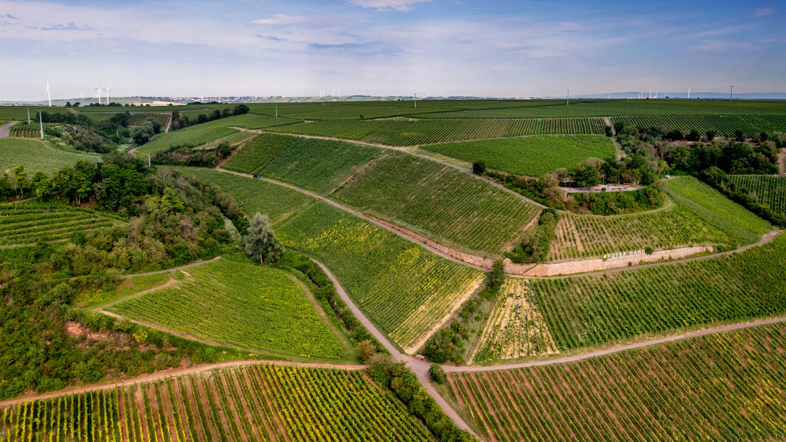 Niersteiner Brudersberg Niersteiner Brudersberg