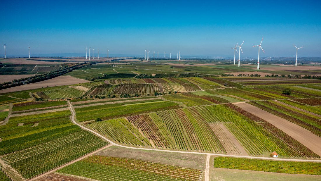 Biebelnheimer Rosengarten Biebelnheimer Rosengarten
