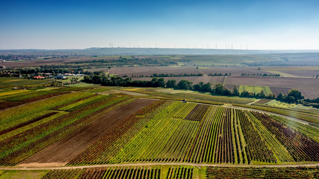 Biebelnheimer Rosengarten Biebelnheimer Rosengarten