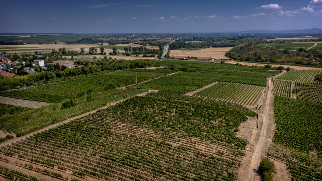 Mörstadter Nonnengarten Mörstadter Nonnengarten