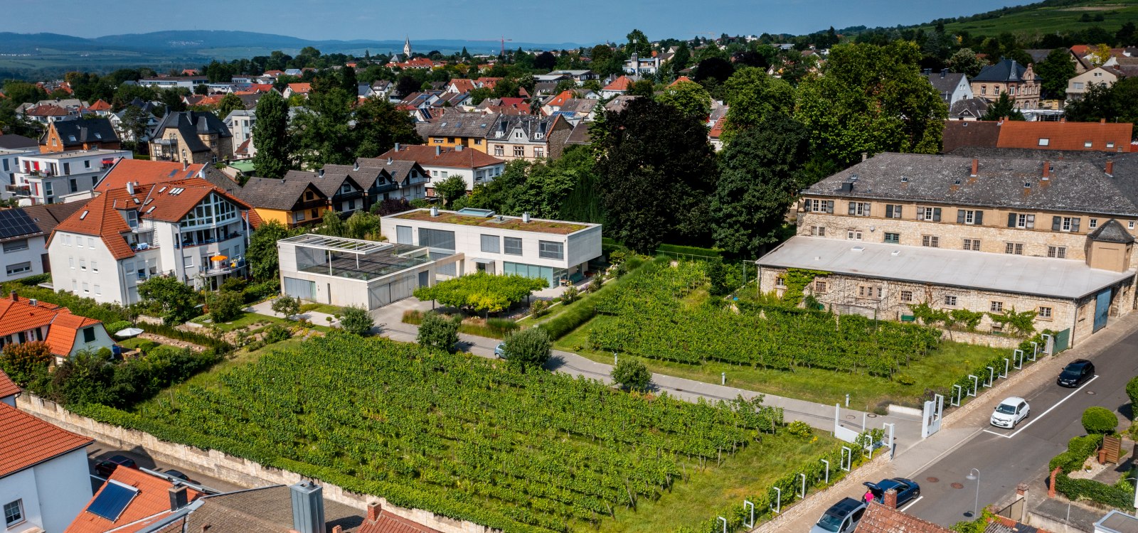Ingelheimer Sonnenberg-DJI_0028.DNG, © Torsten Silz Ingelheimer Sonnenberg-DJI_0028.DNG, © Torsten Silz