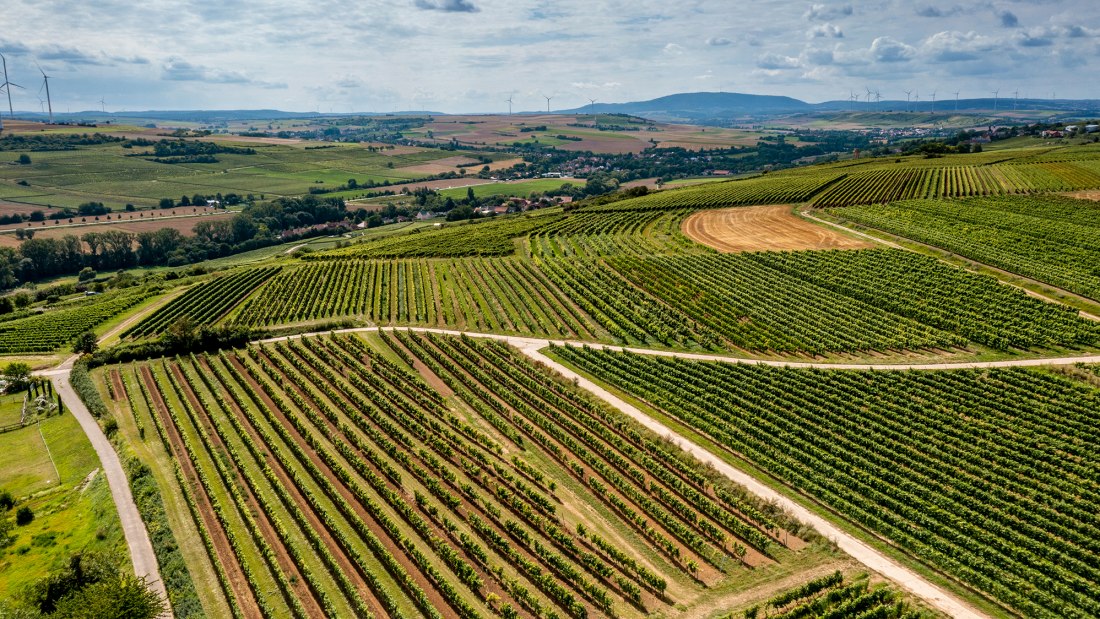 Mölsheimer Zellerweg am Schwarzen Herrgott Mölsheimer Zellerweg am Schwarzen Herrgott