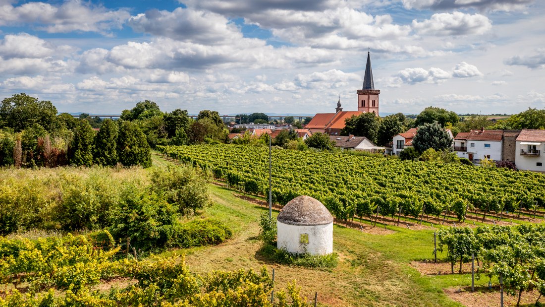 Pfeddersheimer Sankt Georgenberg Pfeddersheimer Sankt Georgenberg
