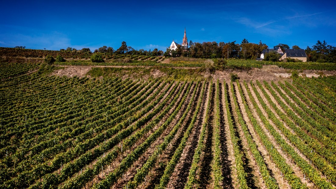 Binger Kirchberg mit Sankt Ruperts Kloster Binger Kirchberg mit Sankt Ruperts Kloster