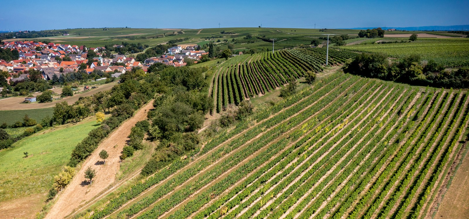 Dalheimer Kranzberg Dalheimer Kranzberg