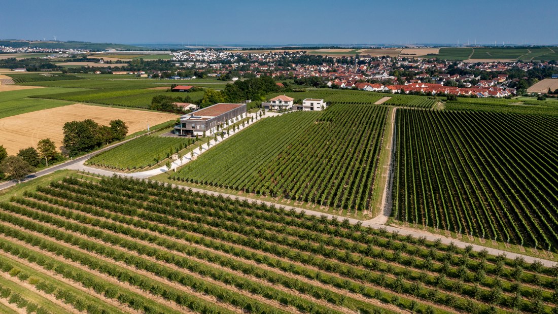 Saulheimer Hölle Saulheimer Hölle