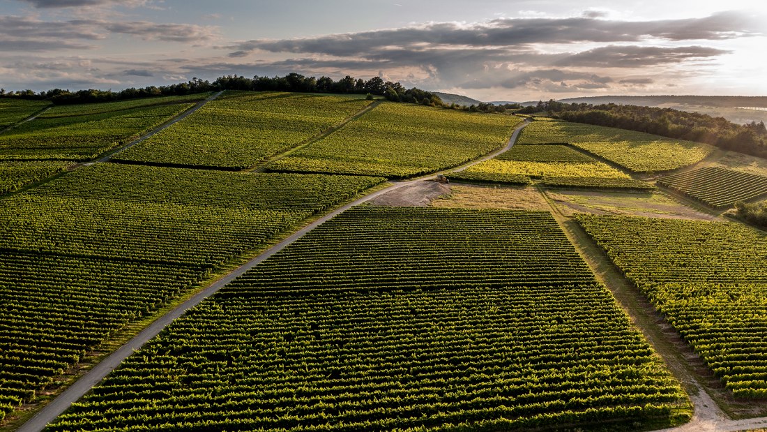 Siefersheimer Höllberg Siefersheimer Höllberg