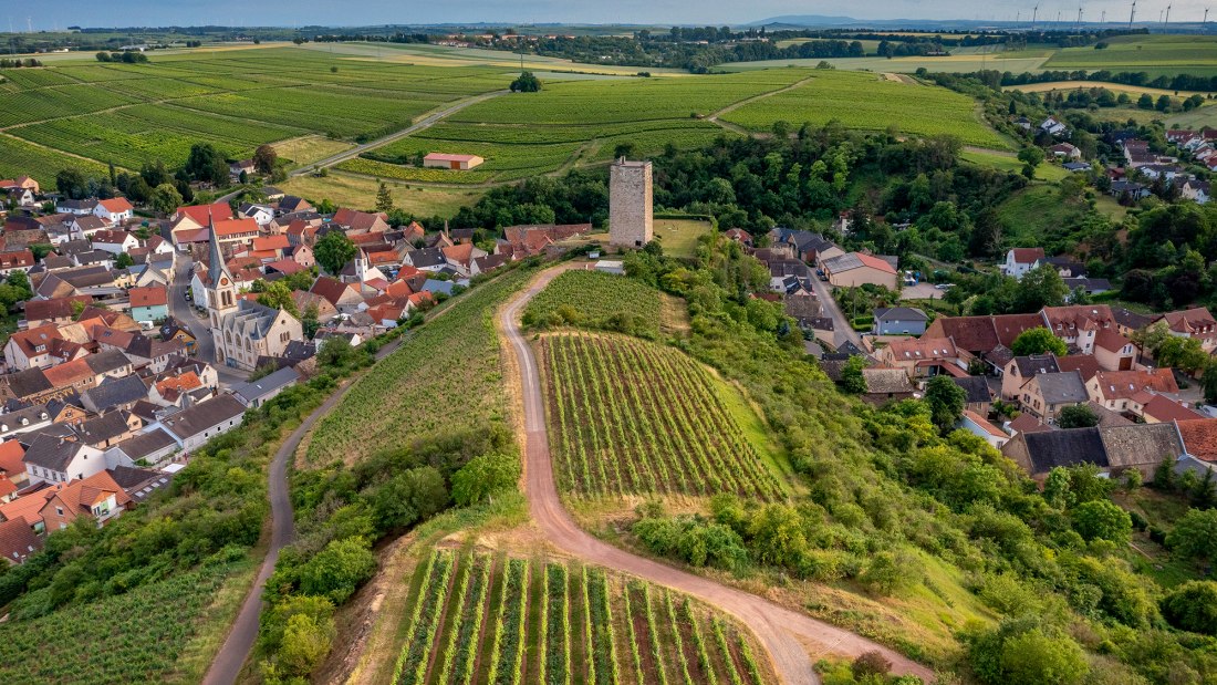 Niersteiner Schloß Schwabsburg Niersteiner Schloß Schwabsburg