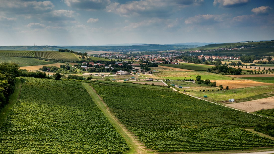 Stadecker Lenchen Stadecker Lenchen