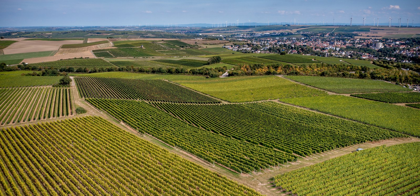 Alzeyer Rotenfels Alzeyer Rotenfels