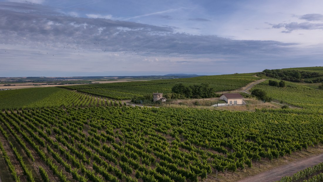 Biebelsheimer Kieselberg Biebelsheimer Kieselberg
