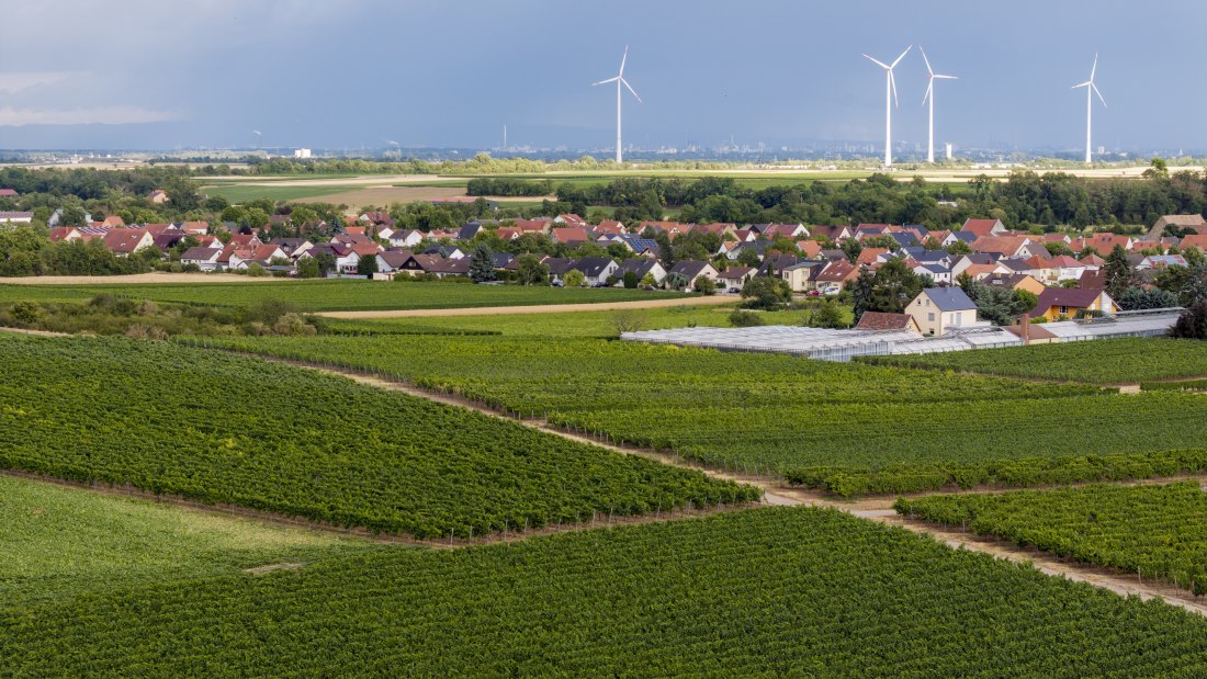 Heppenheimer Affenberg, © Torsten Silz Heppenheimer Affenberg, © Torsten Silz