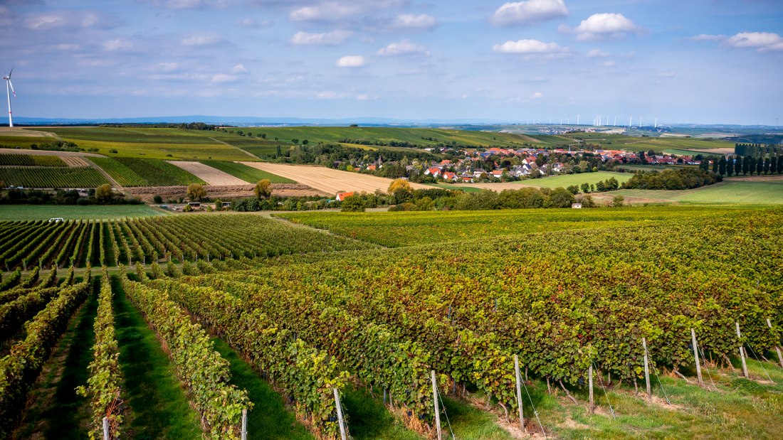 Alzeyer Rotenfels Alzeyer Rotenfels