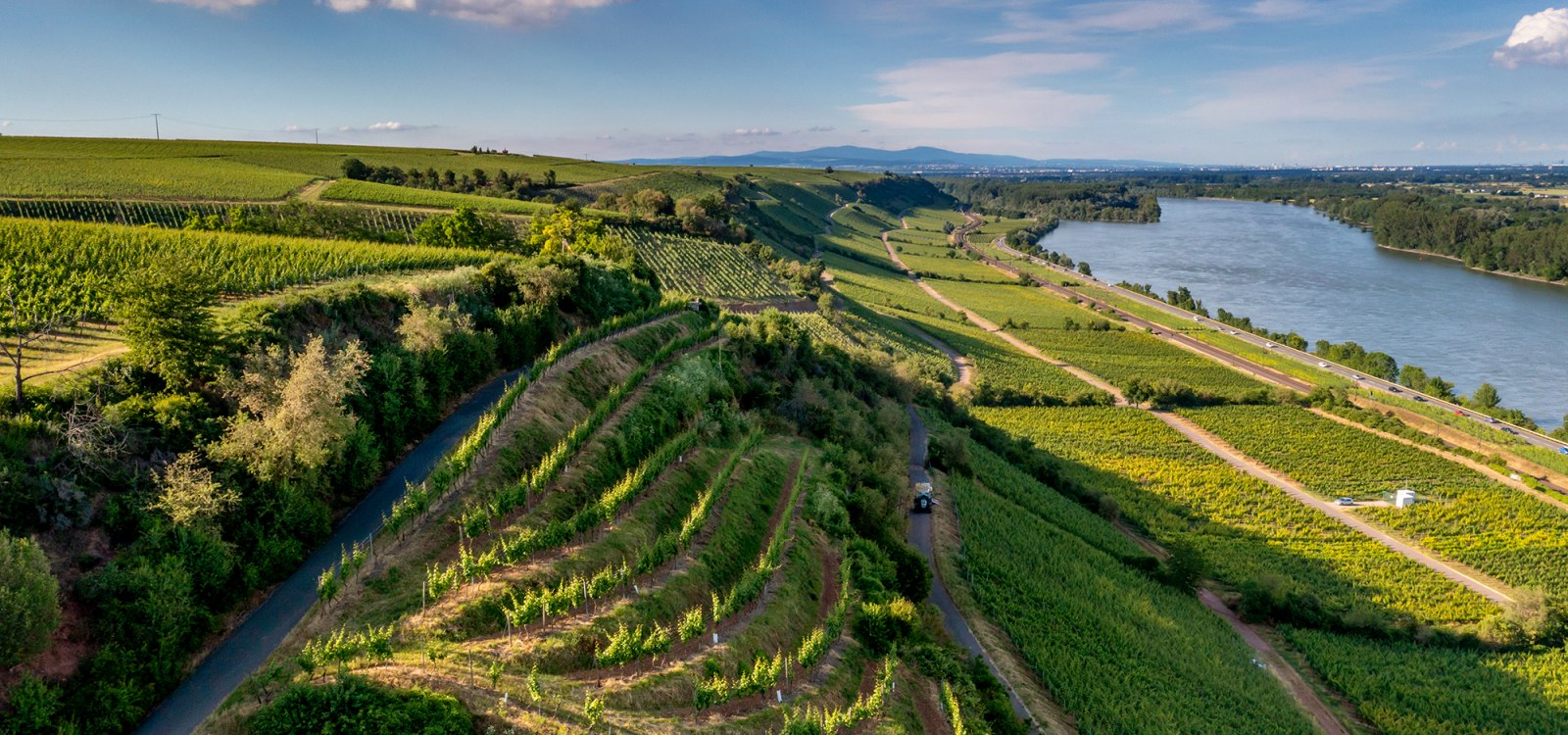 Niersteiner Hipping Niersteiner Hipping