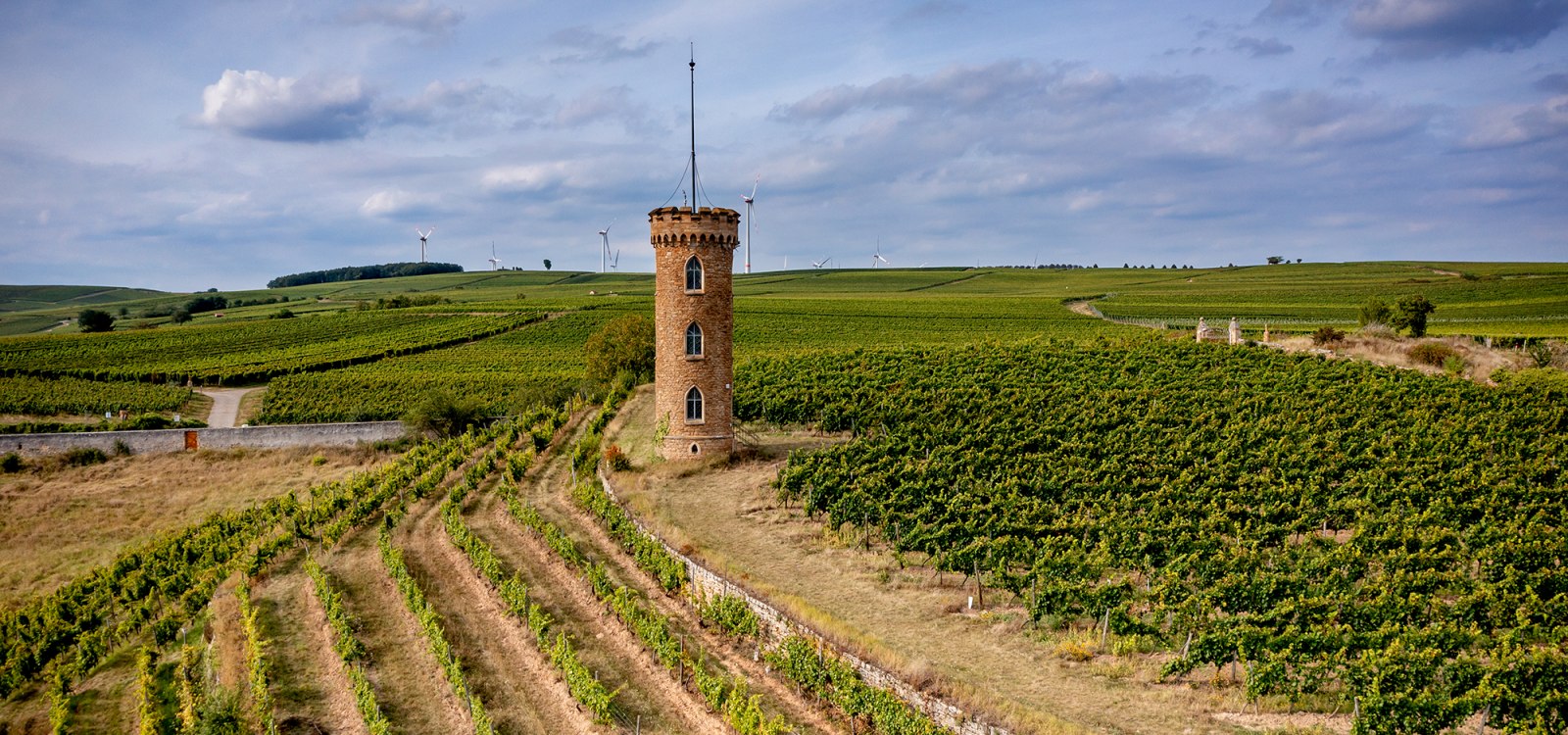 Weinheimer Kapellenberg Weinheimer Kapellenberg