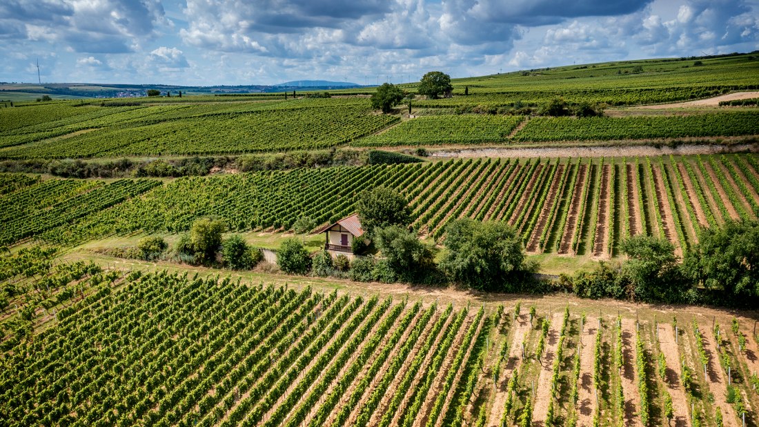 Westhofener Kirchspiel Westhofener Kirchspiel