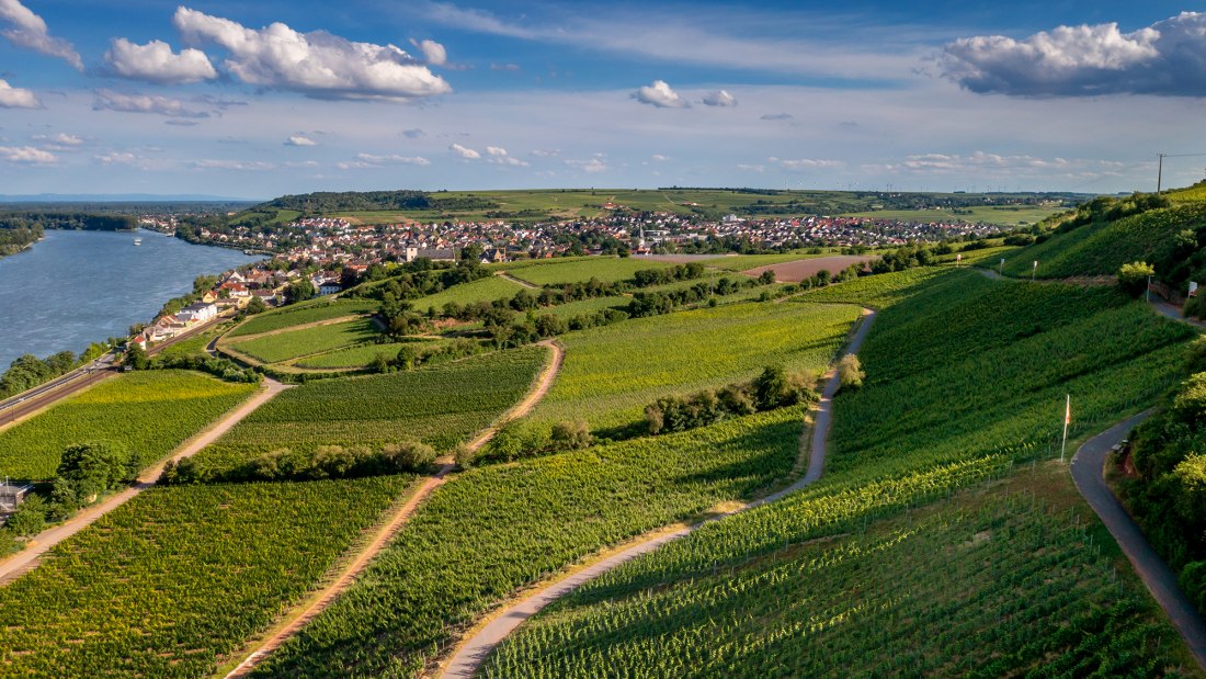 Niersteiner Hipping Niersteiner Hipping