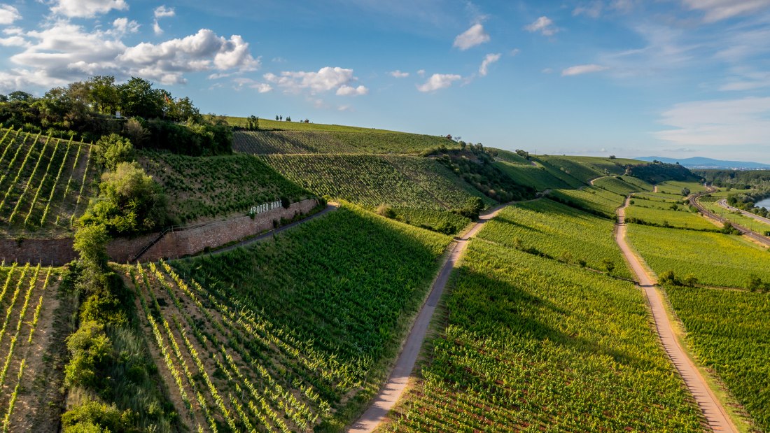 Niersteiner Pettenthal Niersteiner Pettenthal
