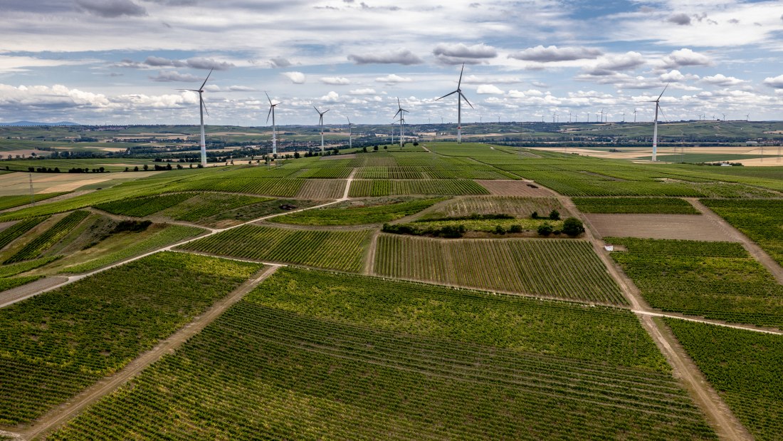 Gumbsheimer Schlosshölle Gumbsheimer Schlosshölle