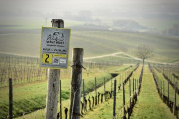 Weingut Wagner_Weinberg, © Weingut Wagner Weingut Wagner_Weinberg, © Weingut Wagner