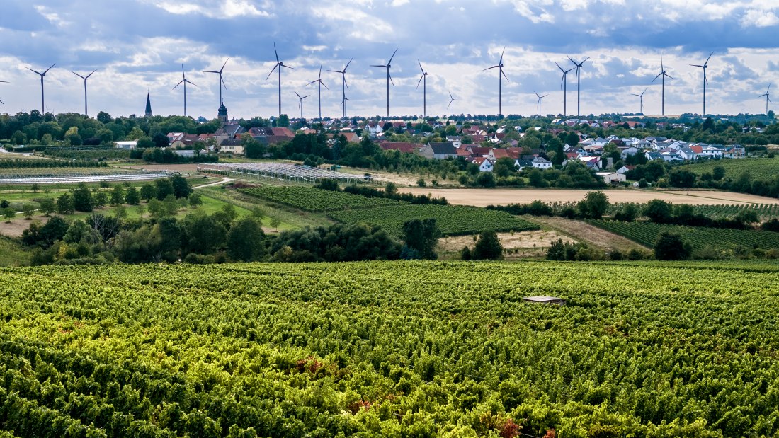 Ober-Flörsheimer Blücherpfad Ober-Flörsheimer Blücherpfad