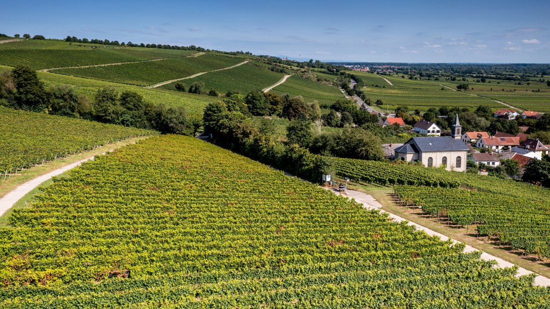 Dienheimer Tafelstein Dienheimer Tafelstein