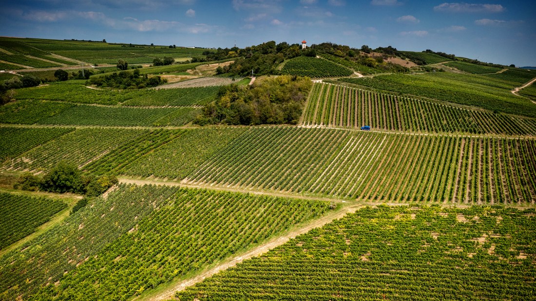 Stadecker Lenchen Stadecker Lenchen