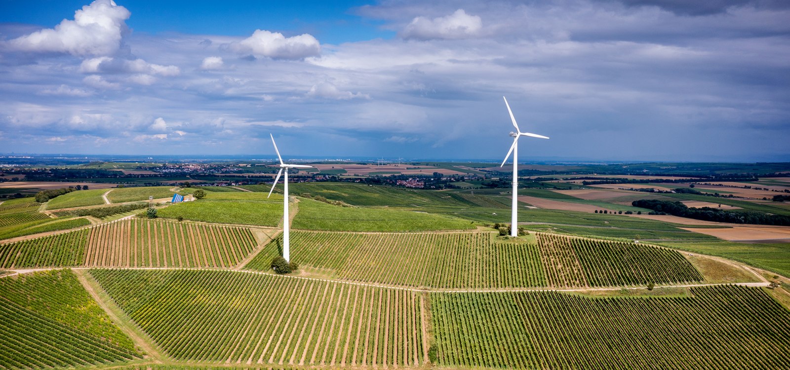 Hahnheimer Knopf Hahnheimer Knopf