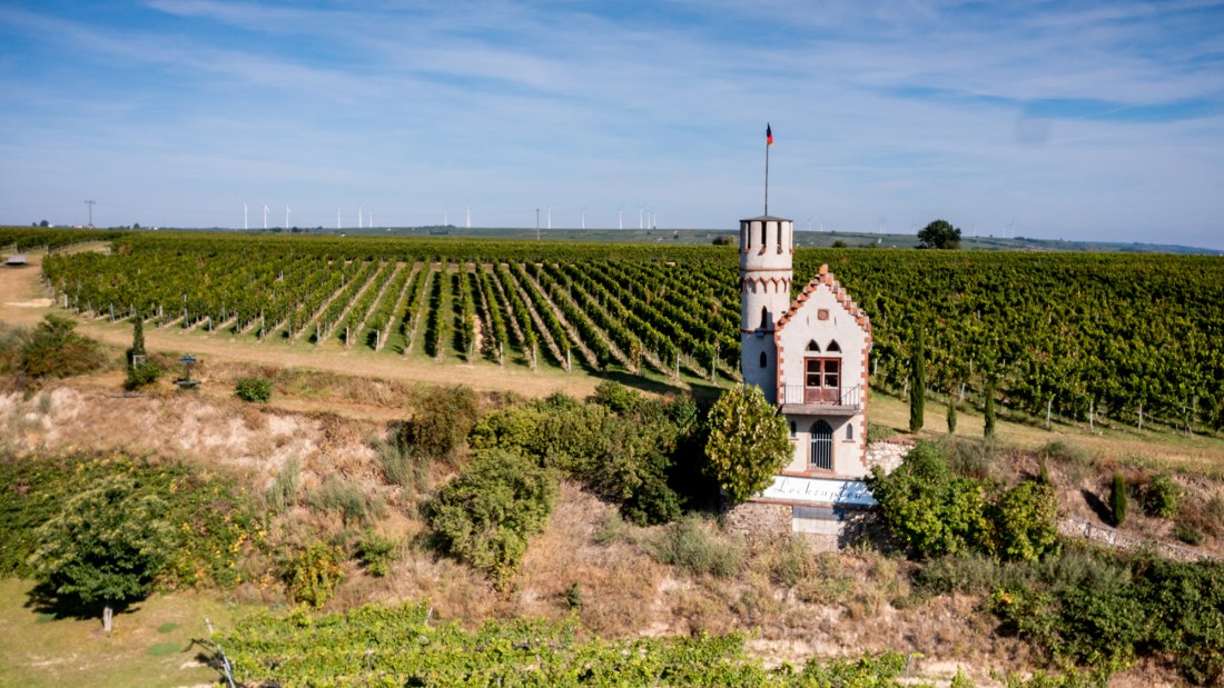 Osthofener Leckzapfen Osthofener Leckzapfen