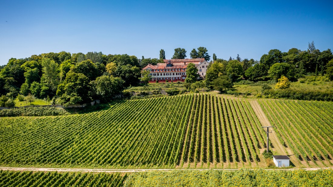 Ingelheimer Schloß Westerhaus Ingelheimer Schloß Westerhaus