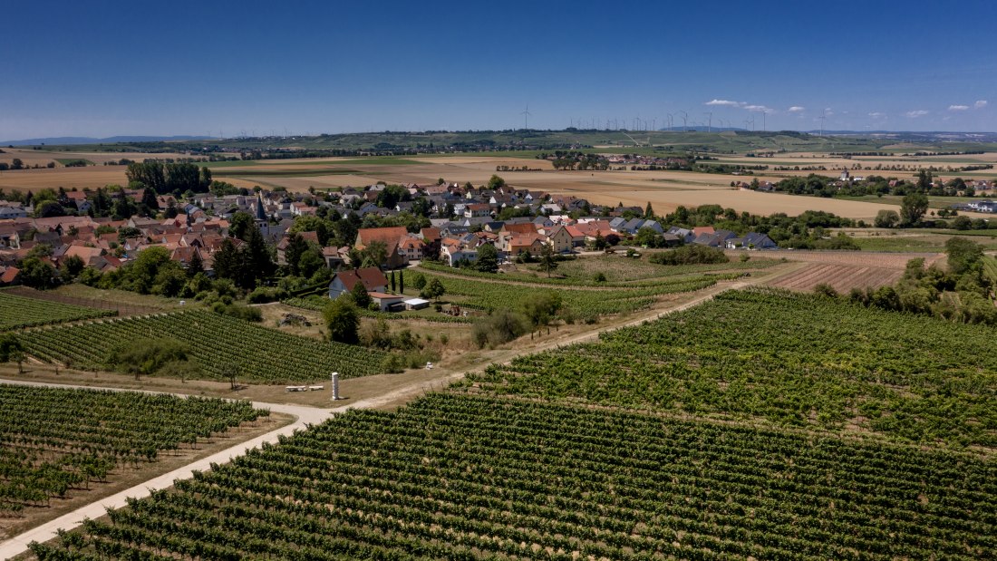 Dorn-Dürkheimer Hasensprung Dorn-Dürkheimer Hasensprung