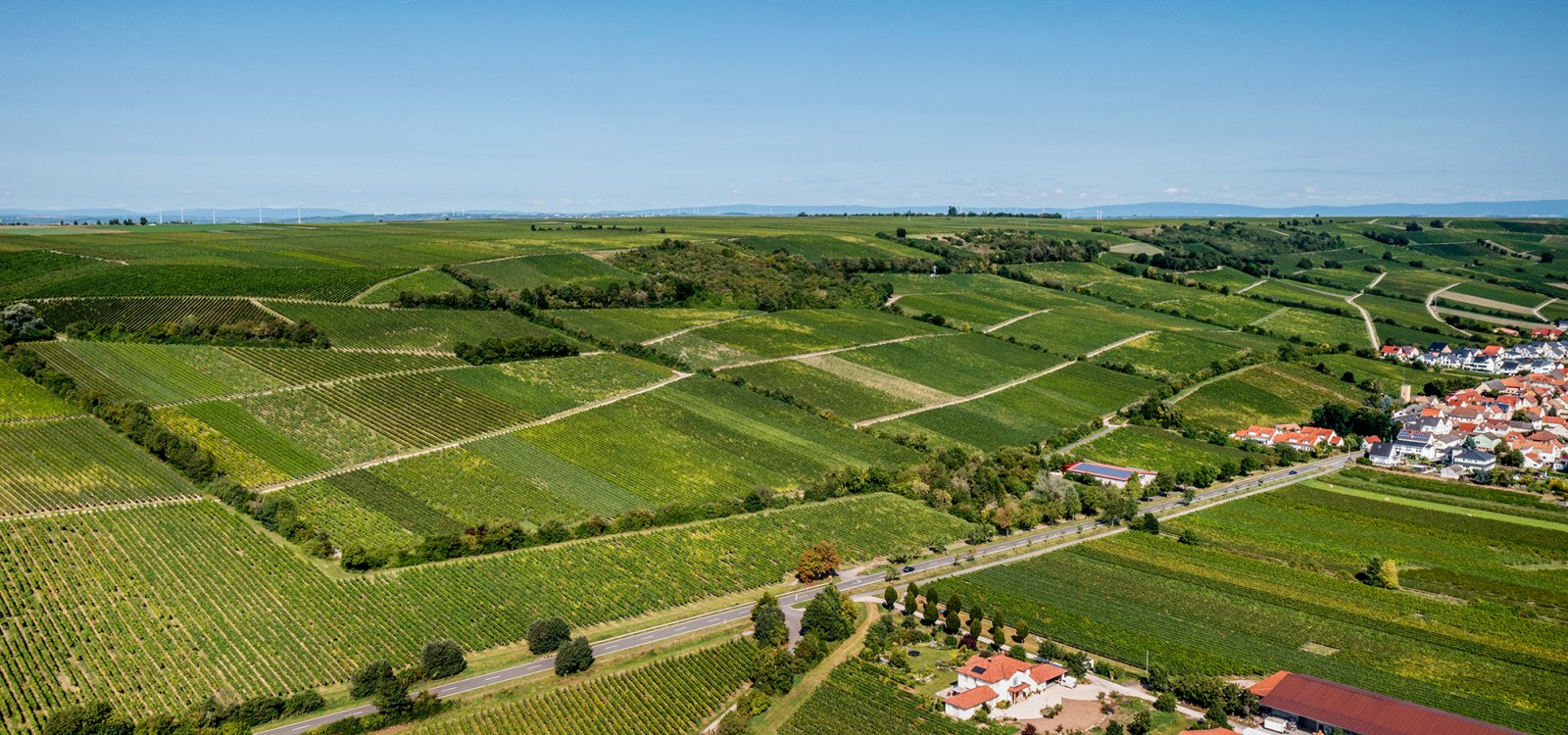 Dienheimer Falkenberg Dienheimer Falkenberg