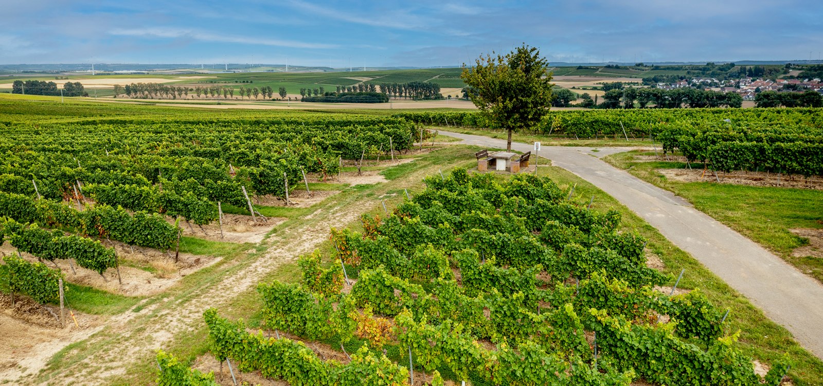 Volxheimer Liebfrau Volxheimer Liebfrau