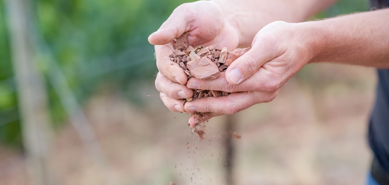 Weingut Seebrich_Hände, © Weingut Seebrich Weingut Seebrich_Hände, © Weingut Seebrich